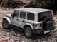 JEEP WRANGLER (685)  