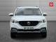 MG MG ZS 2020 (20)