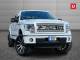 FORD F150 2013 (13)