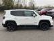 JEEP RENEGADE 2021 (21)