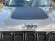 JEEP RENEGADE 2023 (23)